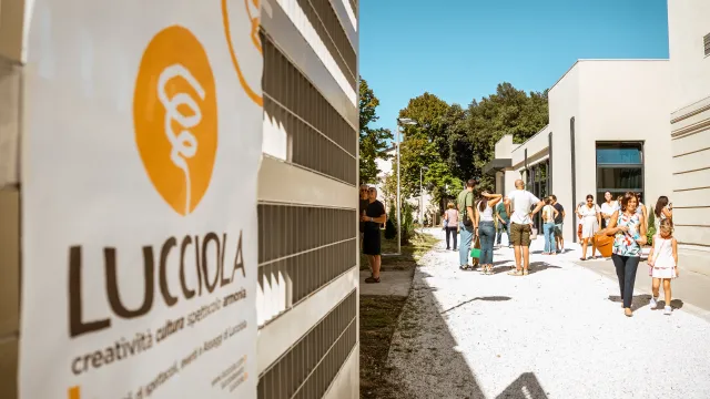 Lucciola Sesto Fiorentino